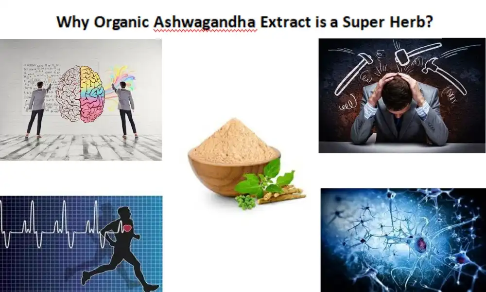 Why Organic Ashwagandha Extract is a Super Herb?